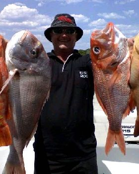 4 OF THE BEST WITH PAULY