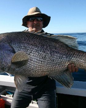 16 kg dhuie glassed off