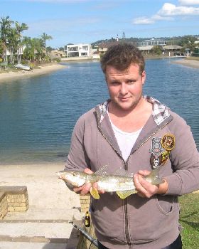 nice whiting