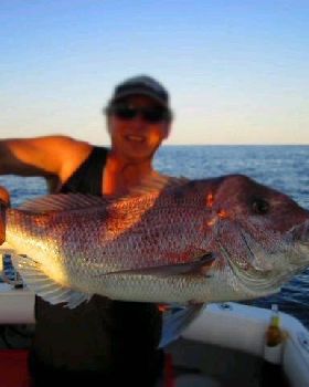 MY PB SNAPPER