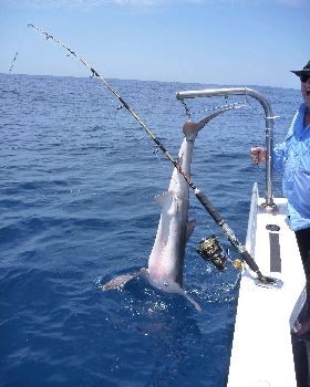 TOMKATTOO FISHING