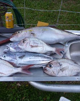 TOMKATTOO fishing