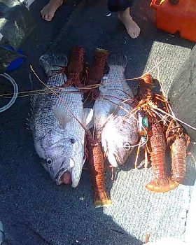 Fishing