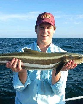 Cobia 2 s