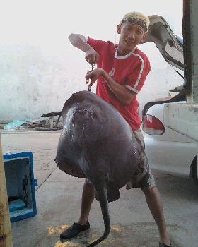 20KG OF RAW....POWER!!!