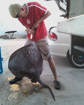 20KG OF RAW....POWER!!!