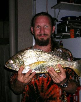 51cm Grunter