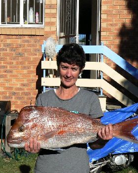 mammies first snapper