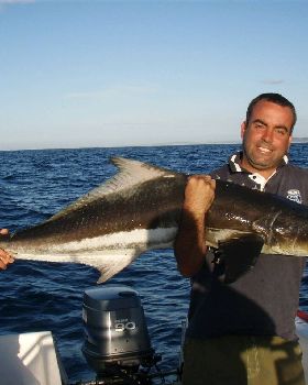 25kg cobia on 7kg spin gear
