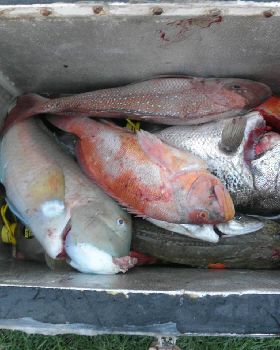 Fishing