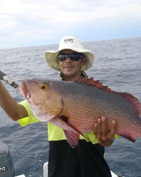 Red bass