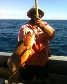 nice coral tout