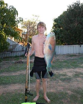 9kg parrot fish