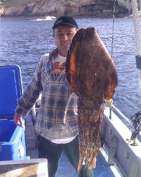 8KG cuttlefish