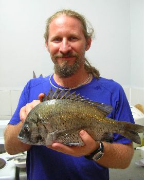 Bream on!