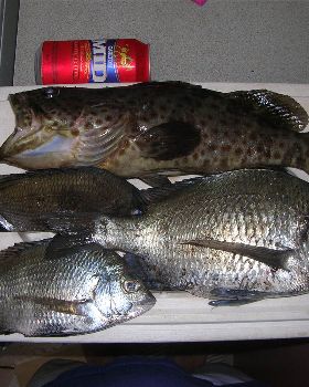 Bream on!