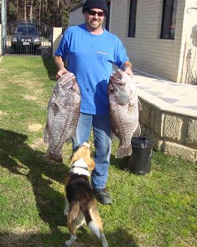 A couple of nice 12kg fish