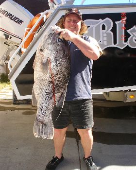 blackpearlin