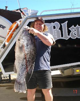blackpearlin