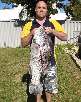 blackpearlin