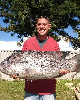 blackpearlin