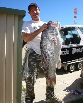 blackpearlin