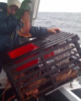 cray fish galour