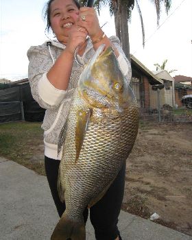 PB 7.4kg DIRTYHOOKER