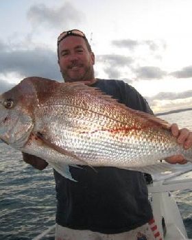 wazza's morning snapper in AMM