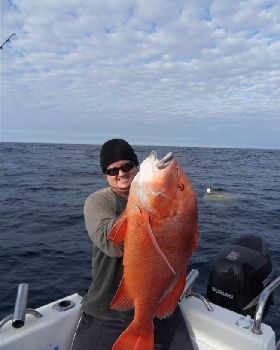 big red 056