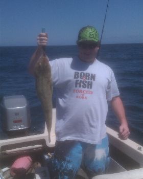 70cm flathead