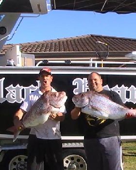 BLACKPEARL SNAPPER
