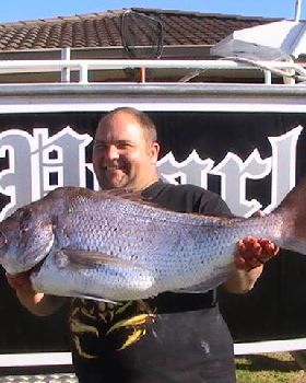BLACKPEARL SNAPPER