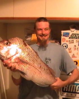 NEVILS SNAPPER  COCKBURN