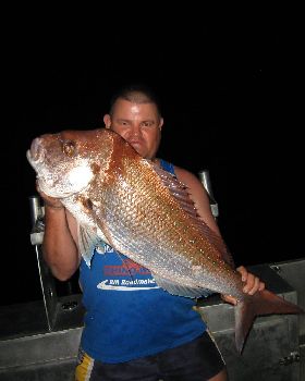8.3kg