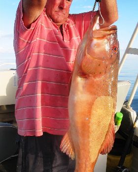 Roy's Coral Trout