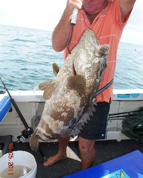 Roy's Big Cod
