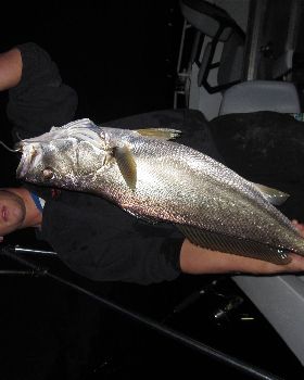 Fishing