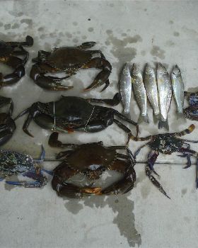 Fishing