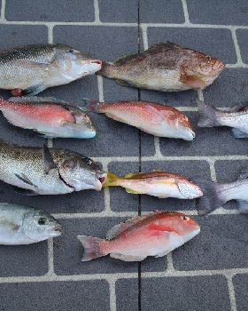Fishing
