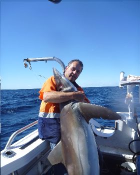 tomkattoo fishing