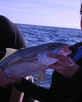 Fishing