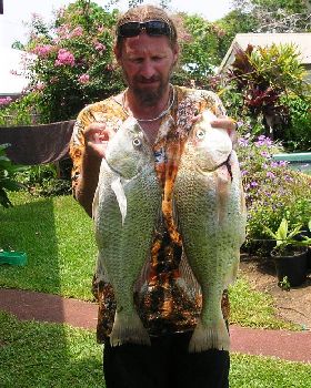 Boxing day grunter
