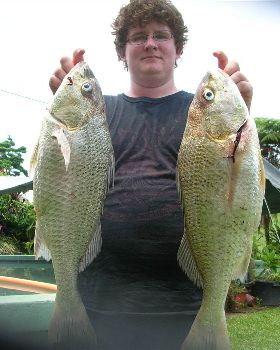 Boxing day grunter