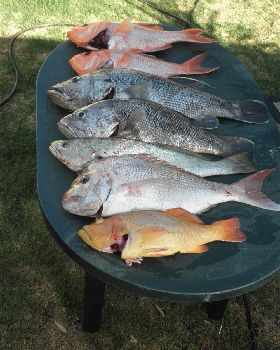not a bad day