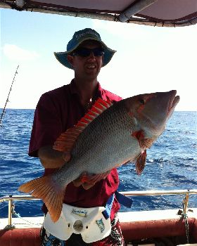 Bretts first reef fish.