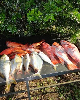 days fishing