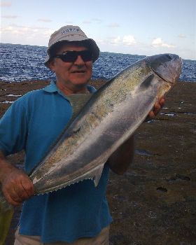10.5kg kingY
