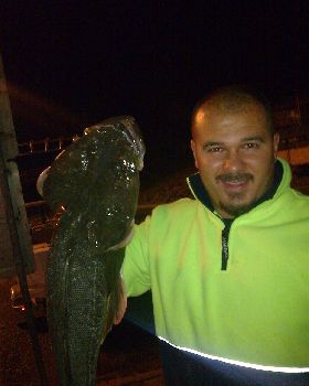 flatty