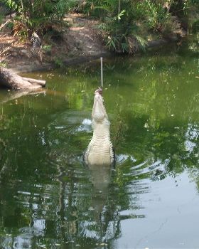 FISHING NT STYLE
